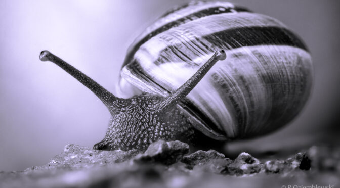 Źle dobrany punkt ustawienia ostrości