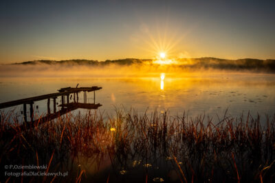 Mgła podświetlona promieniami słońca
