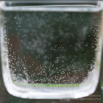 Szklane naczynie z wodą