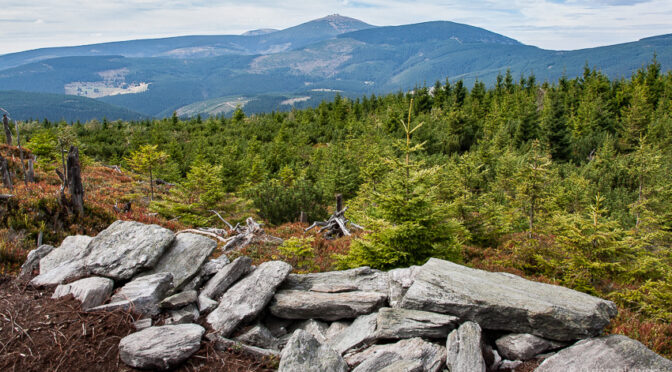 Jak ustawić odległość hiperfokalną