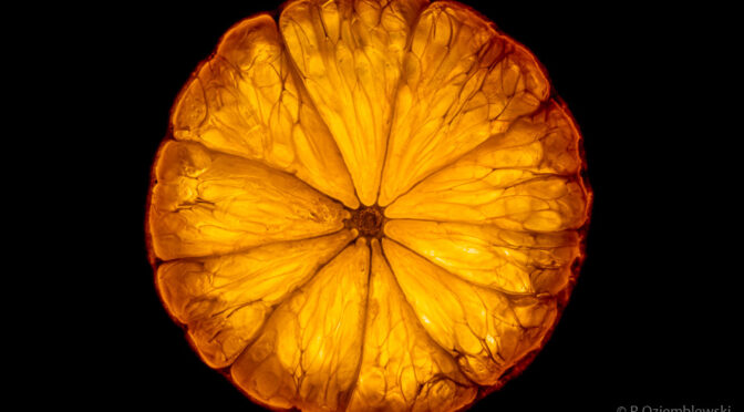 Jak fotografować podświetlone plasterki owoców i warzyw