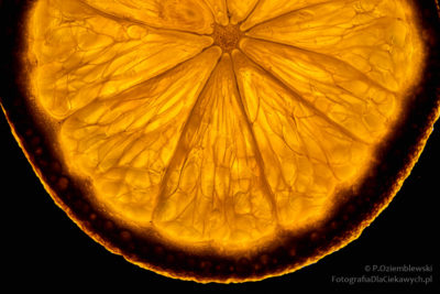 Podświetlony fragment plasterka pomarańczy