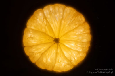 Podświetlony plasterek pomarańczy - zdjęcie prosto z aparatu