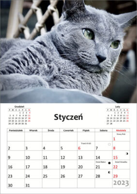 Kalendarz z dodanym zdjęciem kota