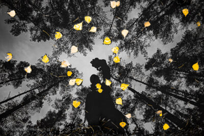 Jesienne liście i drzewa odbite w wodzie