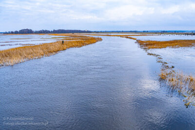 Noteć i rozlewiska.