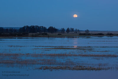 Wschód Księżyca nad Notecią