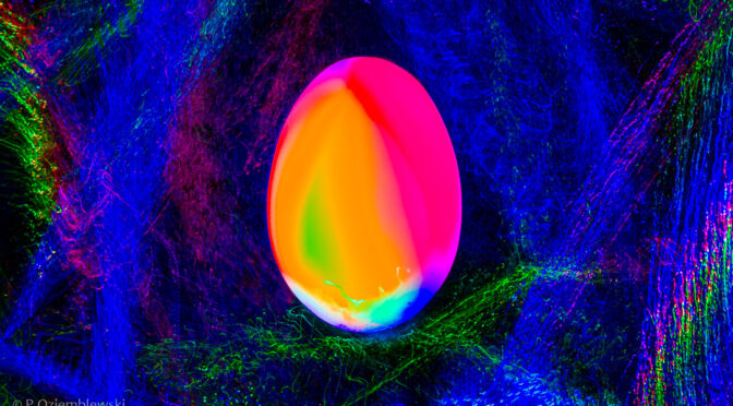 Radosnych Świąt Wielkanocnych