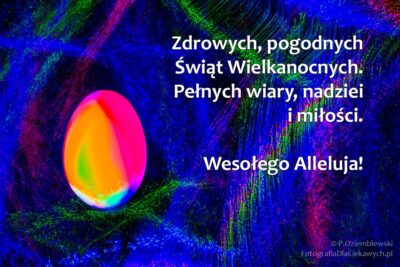 Życzenia. Zdrowych, pogodnych Świąt Wielkanocnych. Pełnych wiary, nadzieii miłości.
