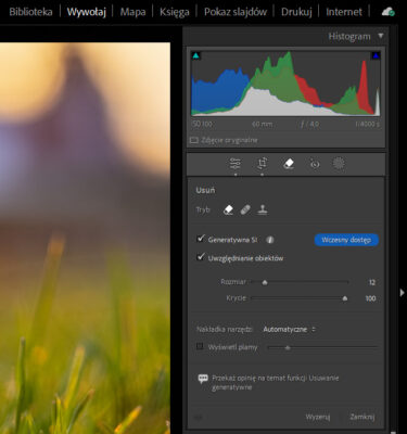 Usuwanie obiektów w Adobe Lightroom - Generatywna SI