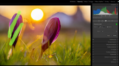 Zaznaczanie obiektu do usunięcia w Adobe Lightroom