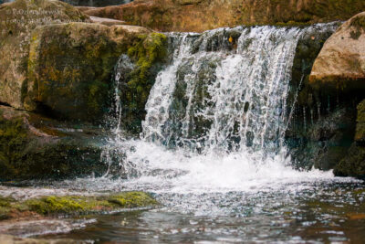 Czas naświetlania 1/8000 sekundy.