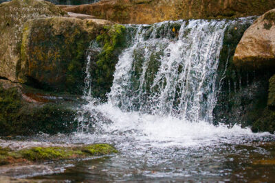 Czas naświetlania 1/2000 sekundy.
