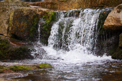 Czas naświetlania 1/500 sekundy.