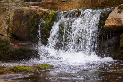 Czas naświetlania 1/250 sekundy.