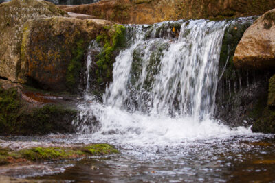 Czas naświetlania 1/60 sekundy.
