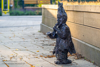 Szlak Chodzieskich Karzełków Płomienistych