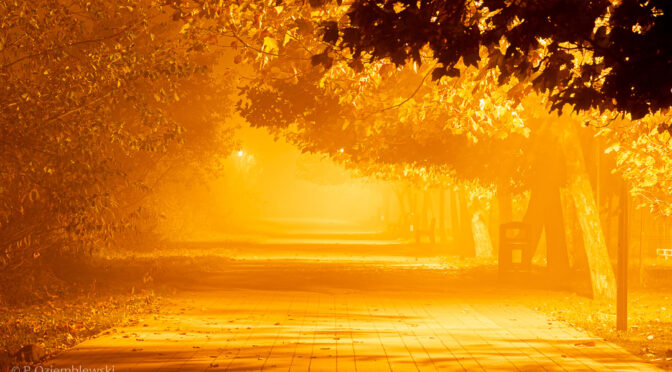 Jak ustawić balans bieli w aparacie? [fotografia od podstaw – poradnik]