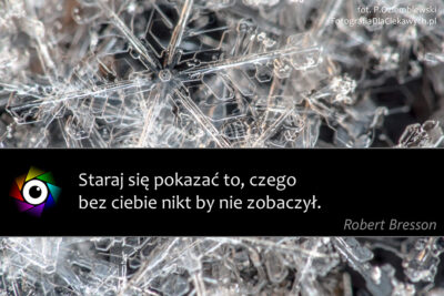 Cytaty dla fotografa