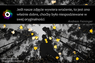 Cytaty dla fotografa