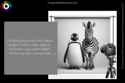 Humor fotografa — dowcipy