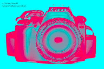 Efekt solaryzacji zrobiony za pomocą krzywych w Adobe Lightroom