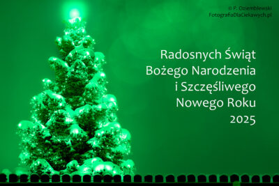 Życzenia z okazji Świat Bożego Narodzenia 2024