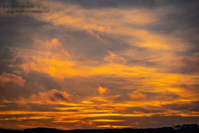 Niebo o wschodzie słońca.