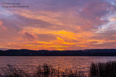 Poranek nad jeziorem Chodzieskim