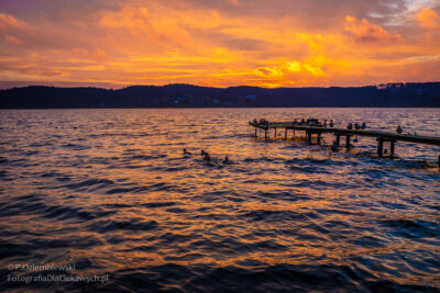 Poranek nad jeziorem Chodzieskim
