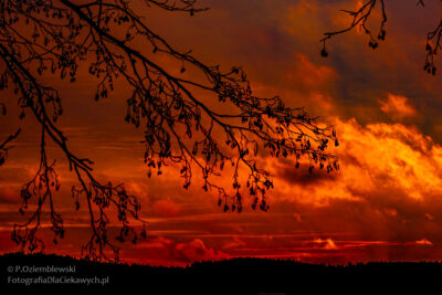 Niebo o wschodzie słońca.