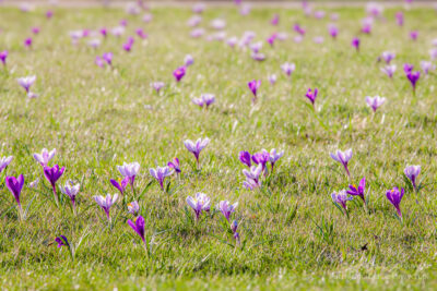 Wielkość obiektu w kadrze — brak konkretnego