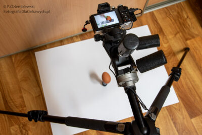Stanowisko do fotografowania podświetlonego jaja.