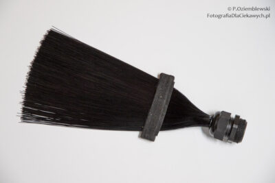 Zestaw cienkich światłowodów śwecących końcówkami.