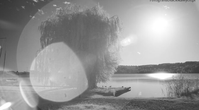 Kiedy filtr fotograficzny psuje obraz i jak rozpoznać dobry filtr?