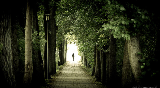 Wrażliwy fotograf w cyfrowym świecie – jak chronić swoją kreatywność przed destrukcją innych