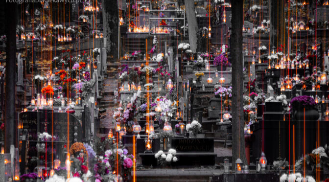 Od realizmu do abstrakcji – wieczorne zdjęcia na cmentarzu w Chodzieży