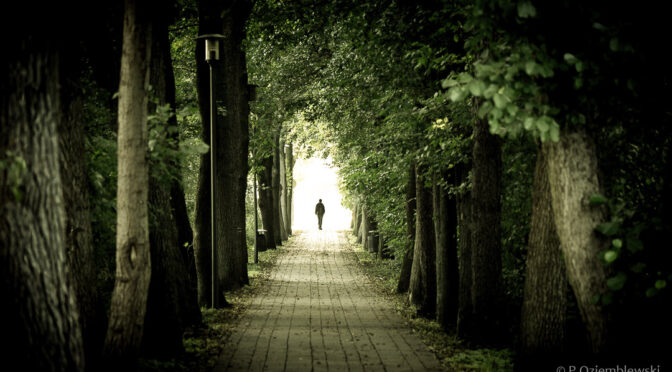 Wyniki głosowania na okładkę nowego ebooka