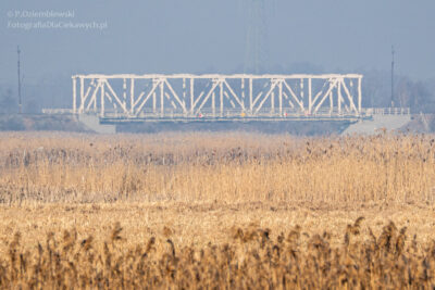 Jak ruch powietrza pływa na ostrość zdjęcia