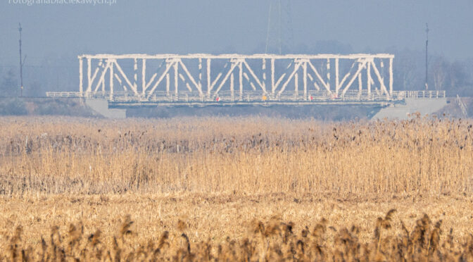 Jak ruch powietrza pływa na ostrość zdjęcia