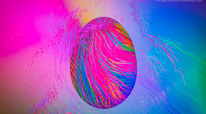 Radosnych Świąt Wielkanocnych