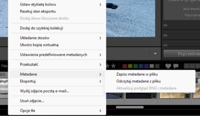 Zapis metadanych dla pojedynczego pliku
